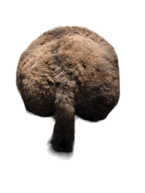 Buffalo Butt