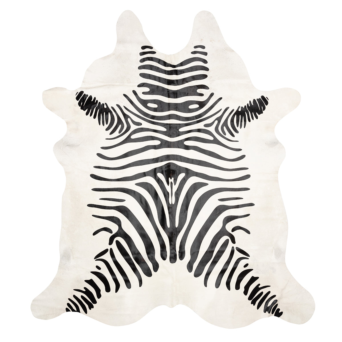 Black Zebra on White