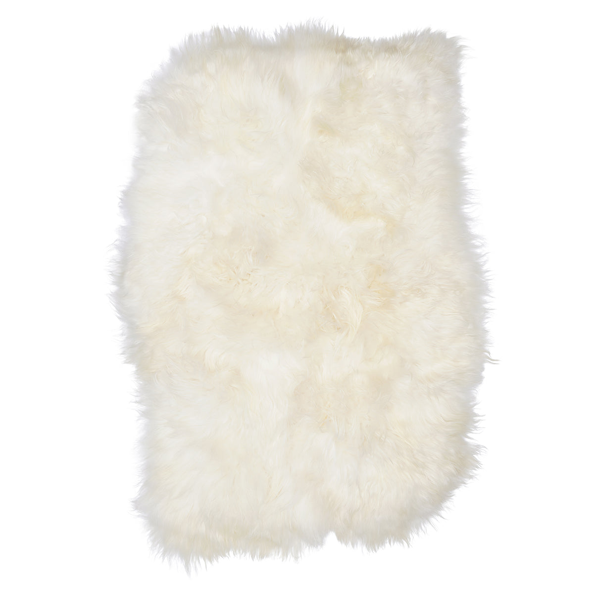 Icelandic Sheep Ivory