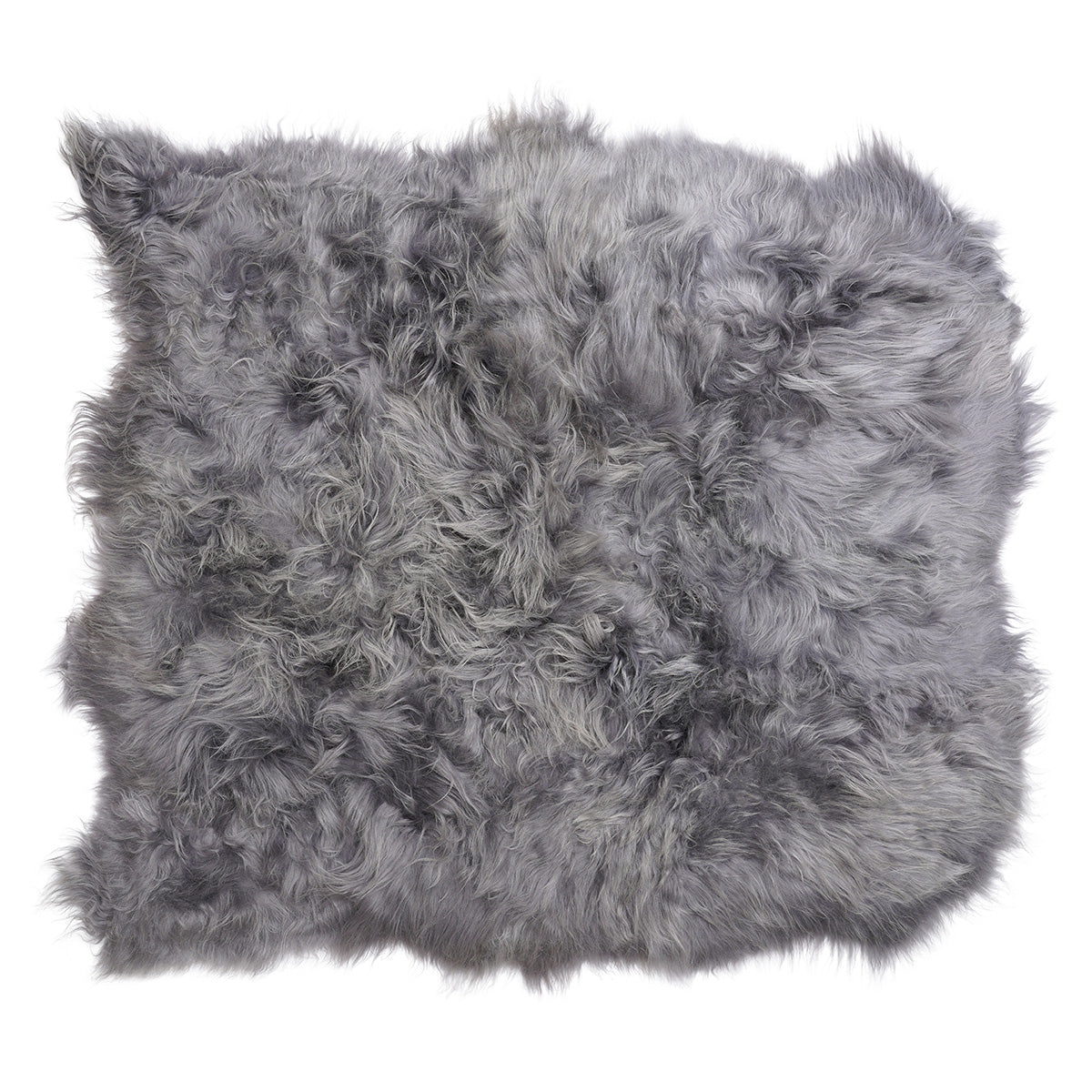 Icelandic Sheep Grey