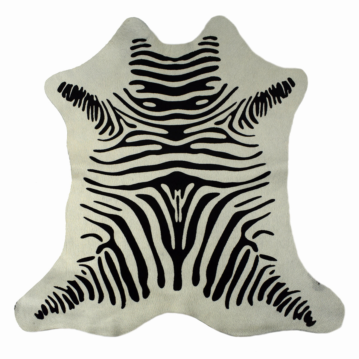 Zebra Calf