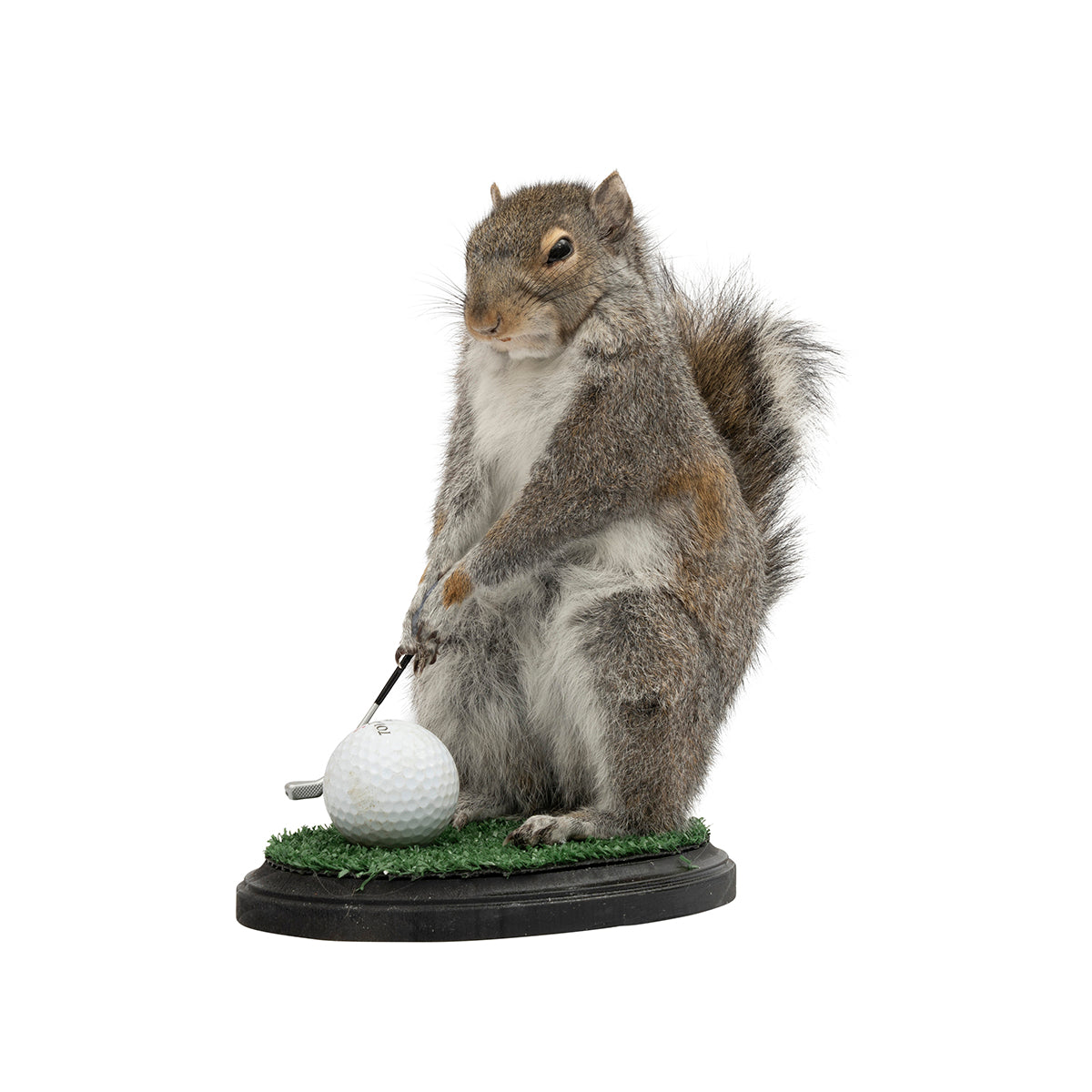 Golfing Squirrel – Leather Ranch Supply Co