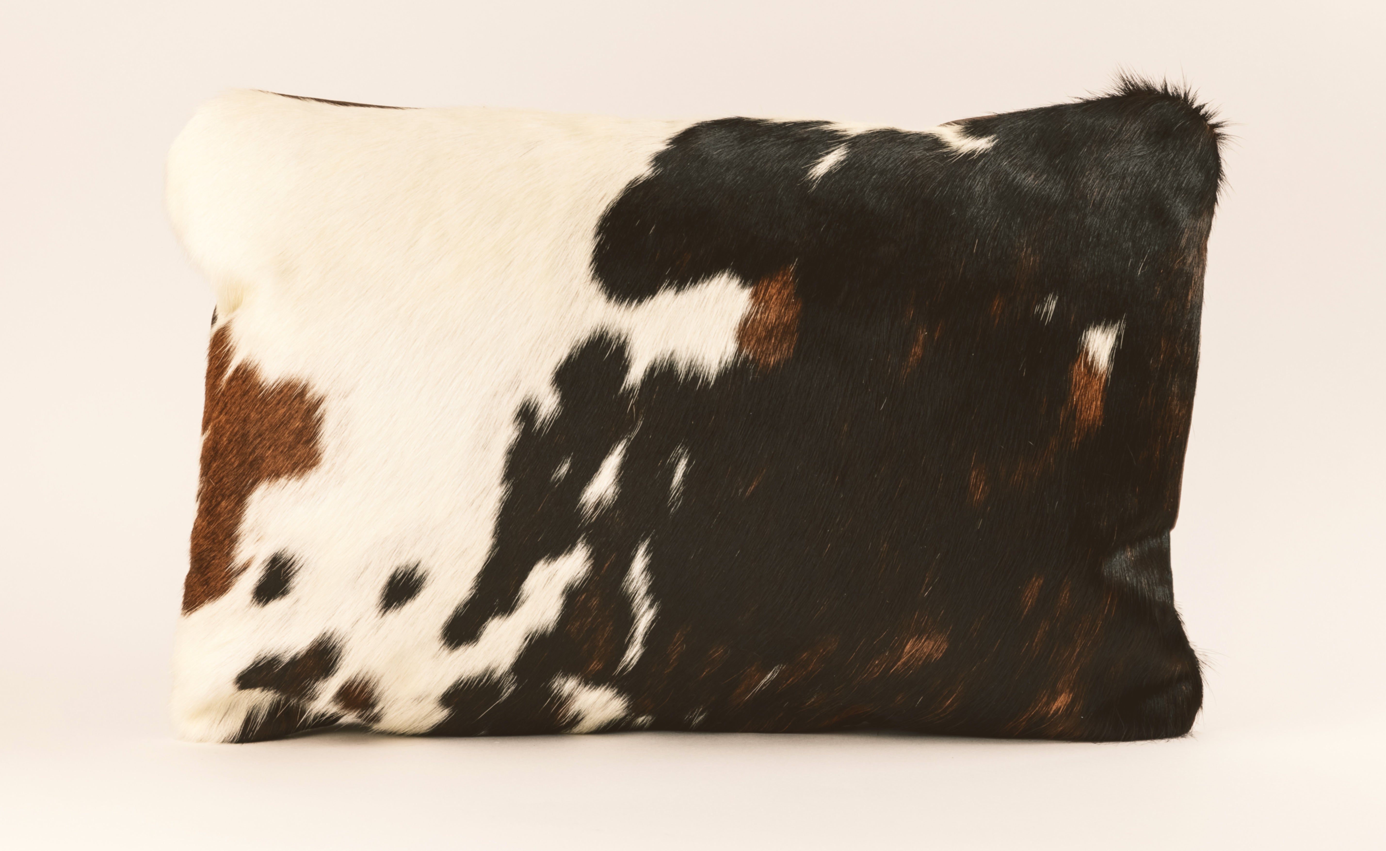 Tri color hair on cow full front and brown fabric back.