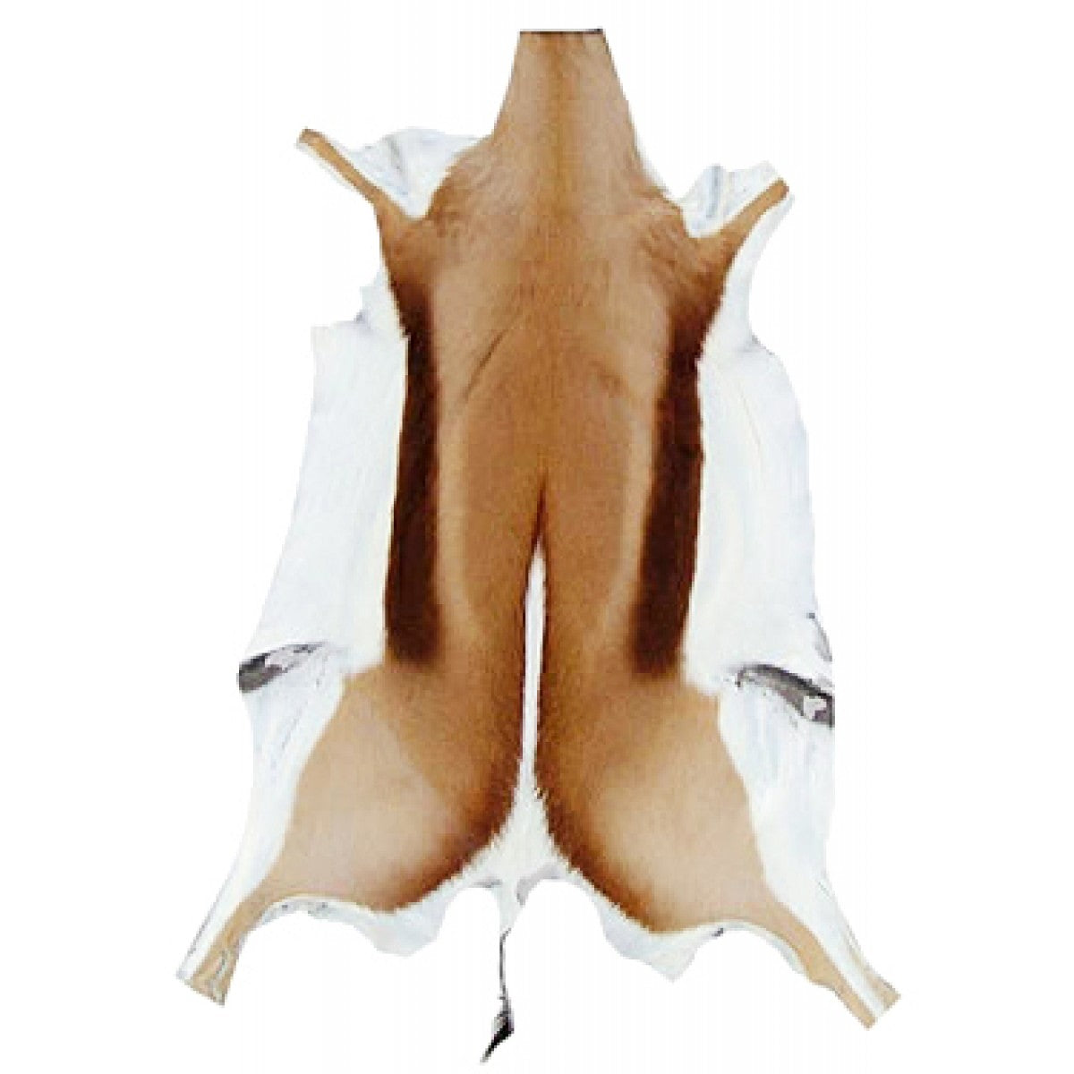 Springbuck Hide