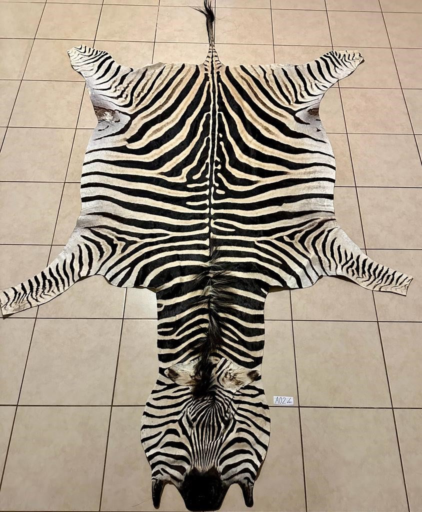 Zebra Hide Unbacked-No Trim