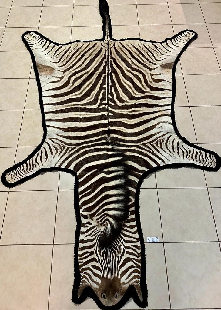 Zebra Hide-Backed and Trimmed